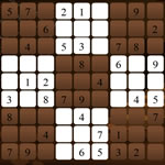 Sudoku Puzzle 29